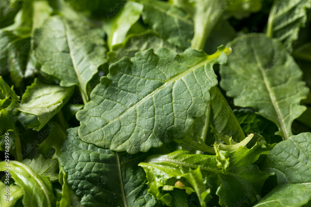 Raw Green Organic Baby Kale Superfood Raw Green Organic Baby Kale Superfood