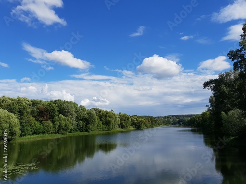 Rural landscape in summer