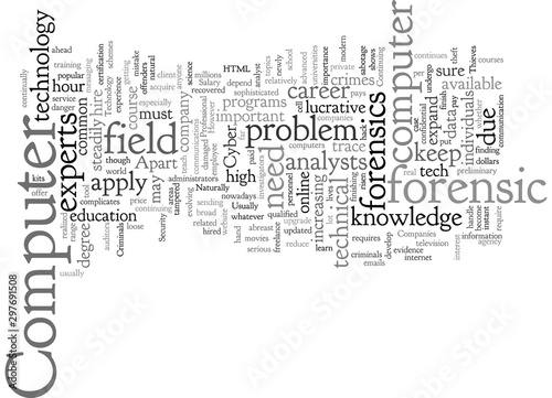 computer forensic pay