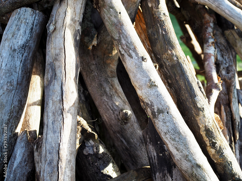 Estructura de ramas, Cabaña de madera, concepto de acampada libre Estructura de ramas, Cabaña de madera, concepto de acampada libre