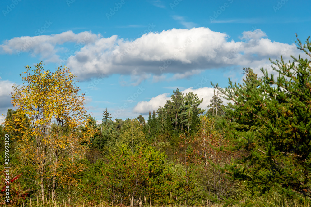 Laurentians parks and wildlife reserves