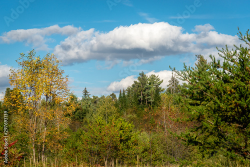 Laurentians parks and wildlife reserves