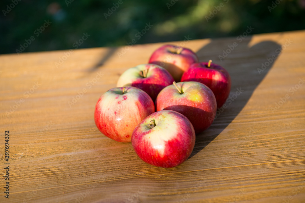 Picnic concept. Apples red ripe fruits. Healthy nutrition concept. Fruit and vitamin. Red apples gathered as harvest. Fall apples harvest. Apple harvest concept. Ripe organic fruits backdrop Picnic concept. Apples red ripe fruits. Healthy nutrition concept. Fruit and vitamin. Red apples gathered as harvest. Fall apples harvest. Apple harvest concept. Ripe organic fruits backdrop