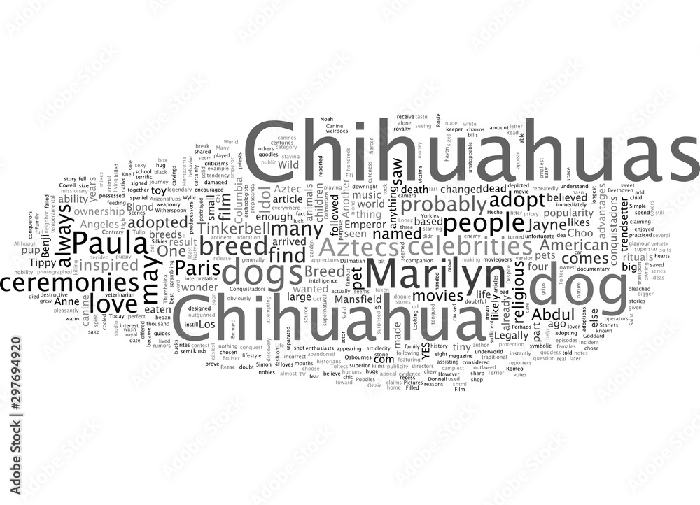 Chihuahuas Get a Solid YES From Paula Abdul Chihuahuas Get a Solid YES From Paula Abdul