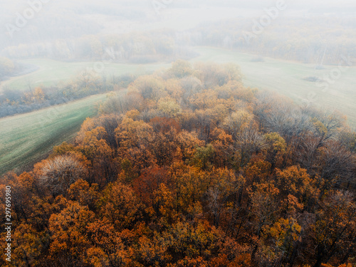 Beautiful Autumn forest and fog - bird's-eye view