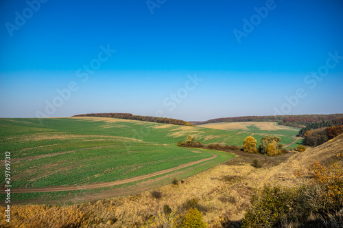 Sown field in autumn day