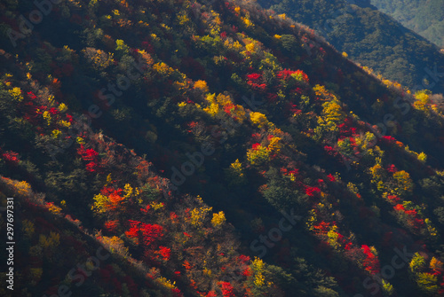 稜線の紅葉の光と影のコントラスト