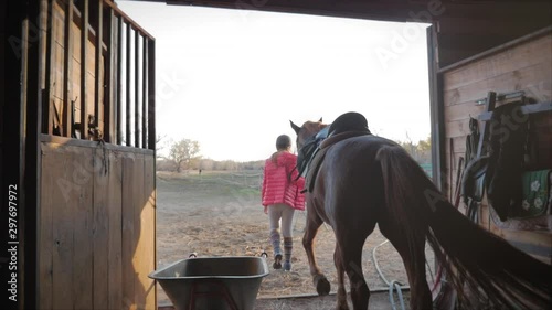 Rider comes out of the stables holding his horse for a guide, out of the stables at sunset . Animal care. Concept of horses and people.