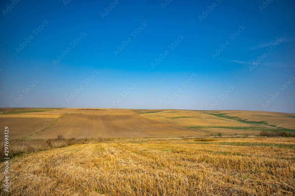 Sown field in autumn day Sown field in autumn day