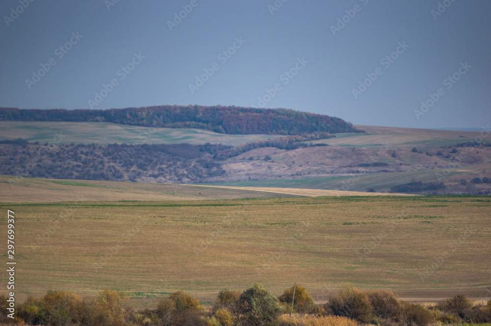 Sown field in autumn day