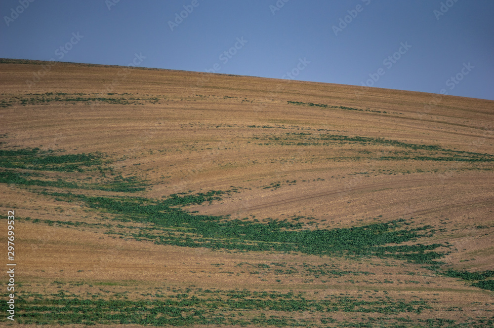 Sown field in autumn day Sown field in autumn day