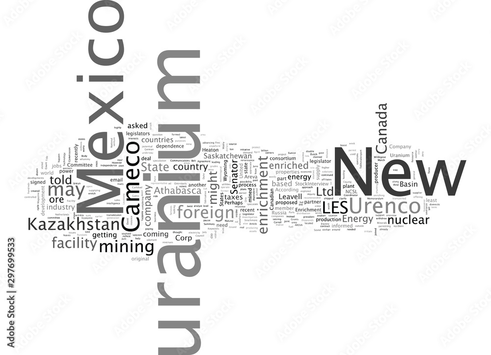 Cameco s Uranium for New Mexico s New Enrichment Facility Cameco s Uranium for New Mexico s New Enrichment Facility