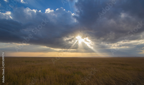 Natural landscape from Africa. Masai mara national park with its incredibles animals and colours.