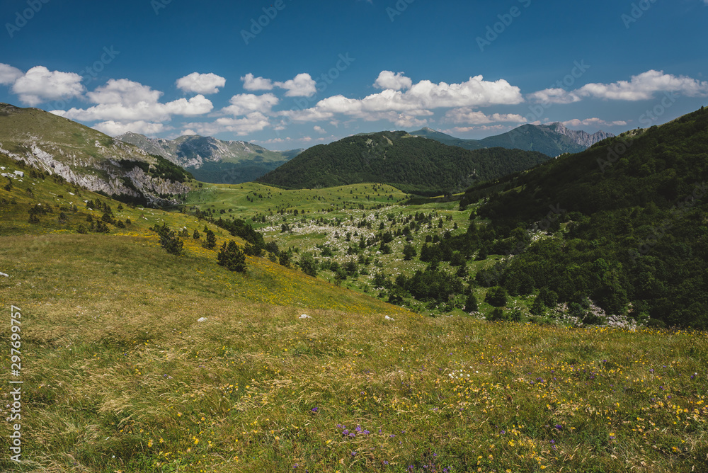 Landscape in mountain 