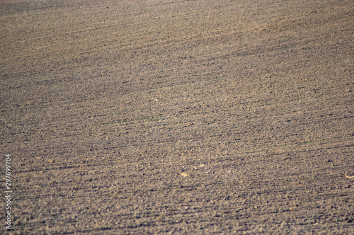 Sown field in autumn day