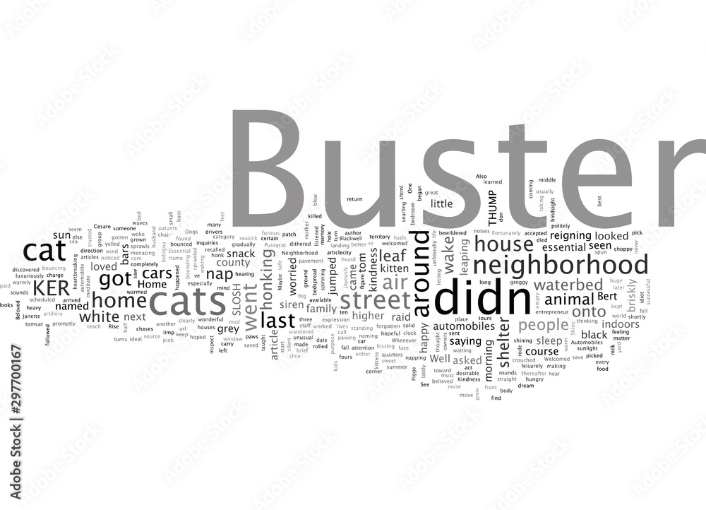 Buster the Beloved Pussycat