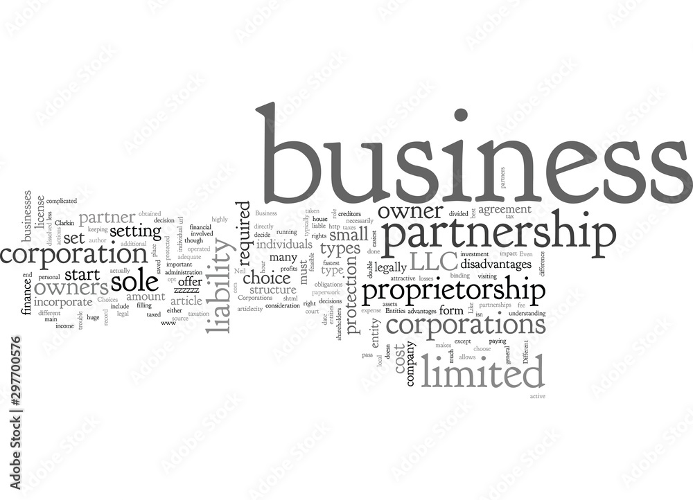 Business Entities What Are The Choices Business Entities What Are The Choices