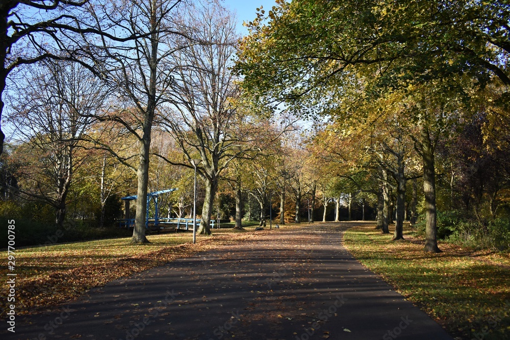 Autumn landscape with pathway and trees in the park.