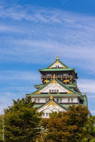 Osaka castle above treeline in Japan