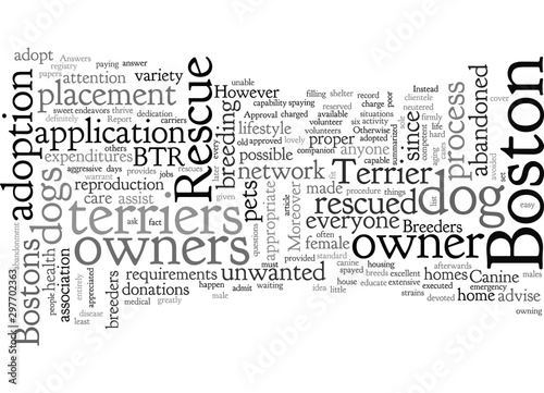 boston dog rescue terrier