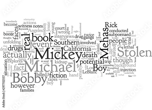 Quadro su tela Book Review Stolen Boy By Michael Mehas