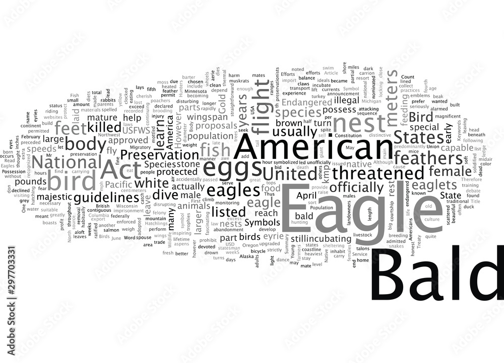 Fototapeta premium Birds The American Bald Eagle