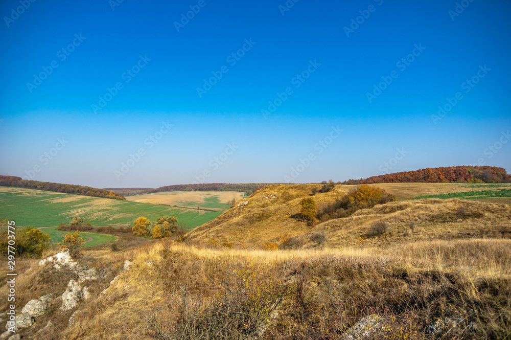 Fototapeta premium Green fields in autumn in Ukraine