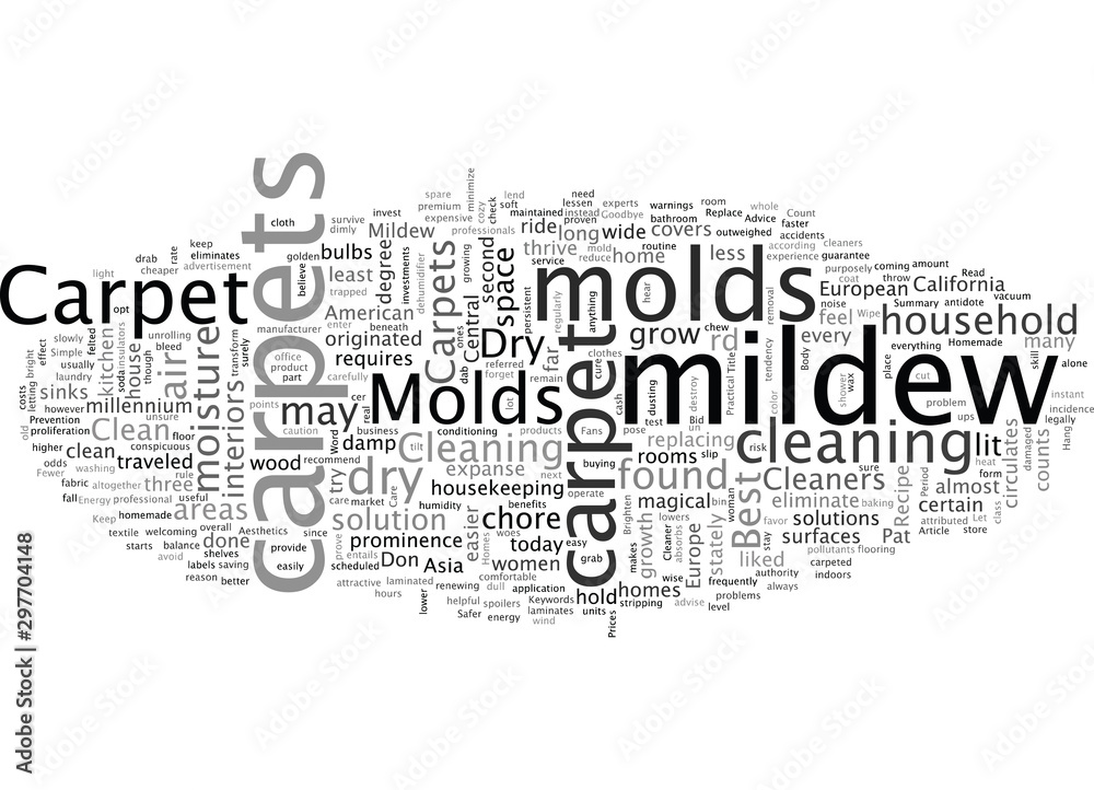 Best Carpet Cleaners Advice Keep Dry Bid Molds Goodbye Best Carpet Cleaners Advice Keep Dry Bid Molds Goodbye