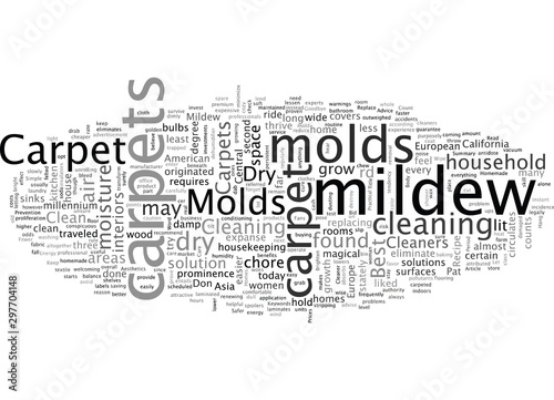 Best Carpet Cleaners Advice Keep Dry Bid Molds Goodbye