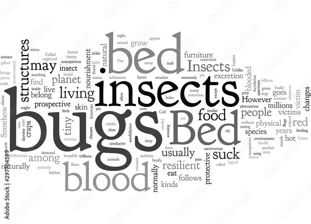 Fototapeta premium bed bugs insect