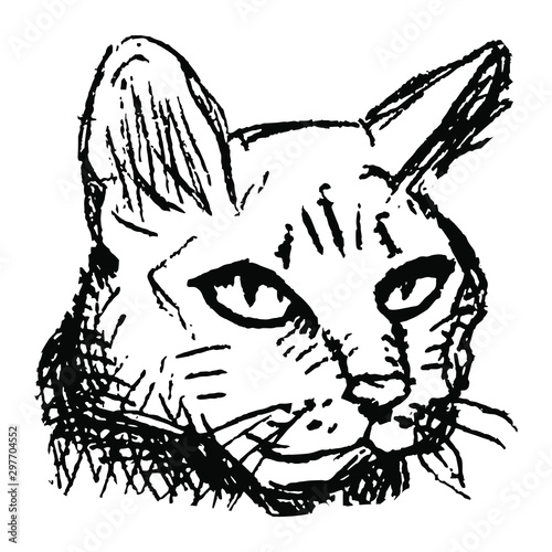 Black and white ink sketch of a whisker cat head portrait illustration vector