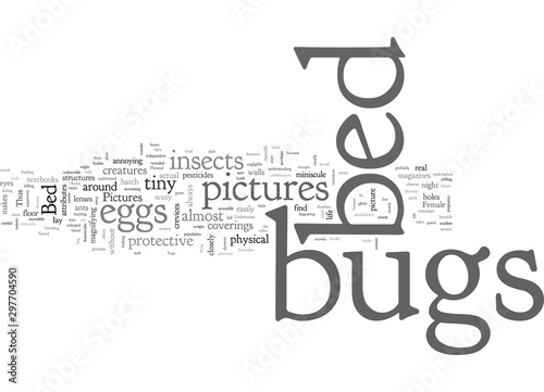 bed bugs pictures