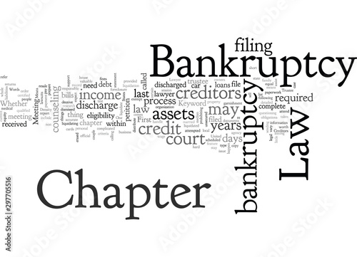 bankruptcy law chapter