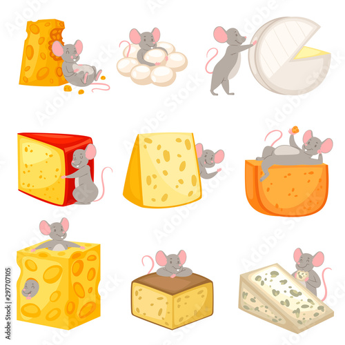 Cartoon mouse vector kids mousy animal character rodent and rat with cheese eating cheesy food illustration mousey set of little mouselook mice illustration set isolated on white background
