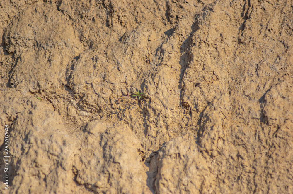 Clay texture on the edge of a cliff Clay texture on the edge of a cliff