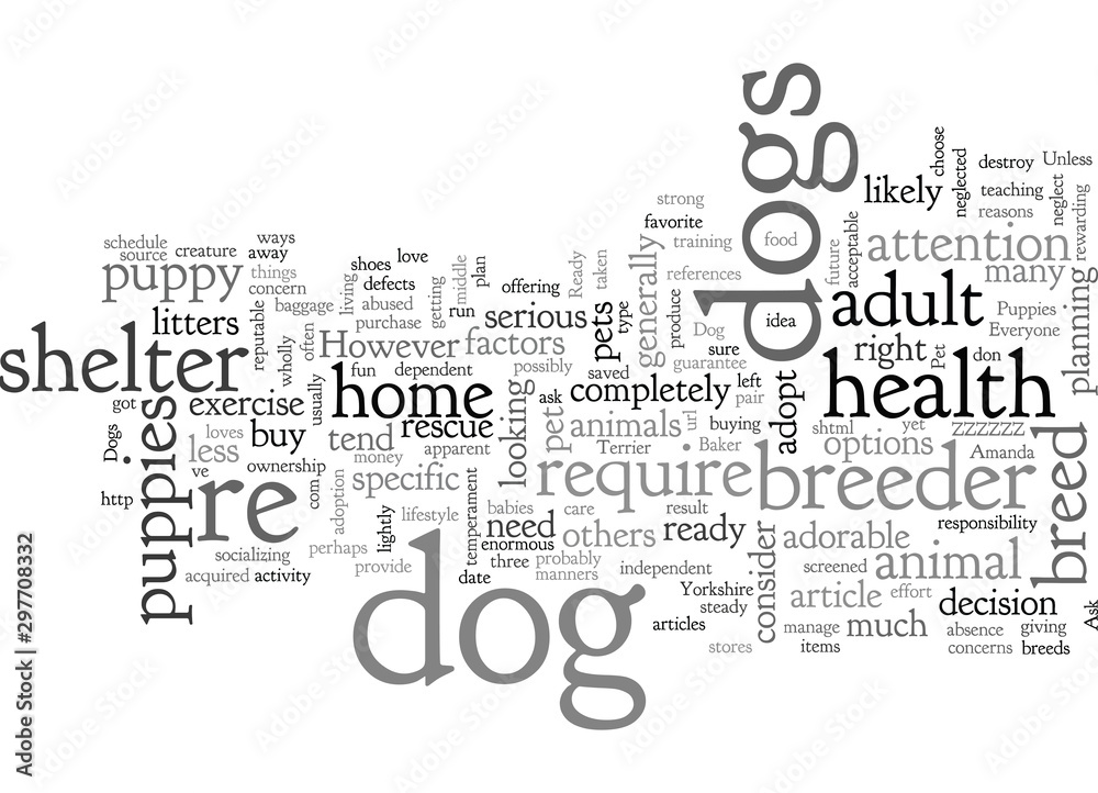 Are You Ready for a Dog Are You Ready for a Dog