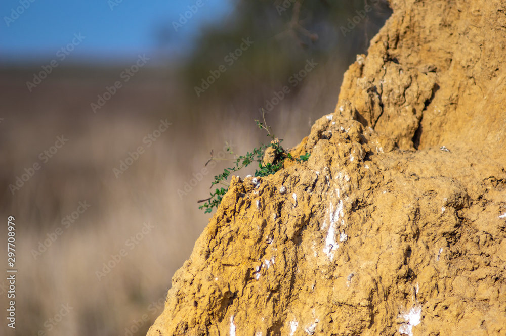 Clay texture on the edge of a cliff Clay texture on the edge of a cliff