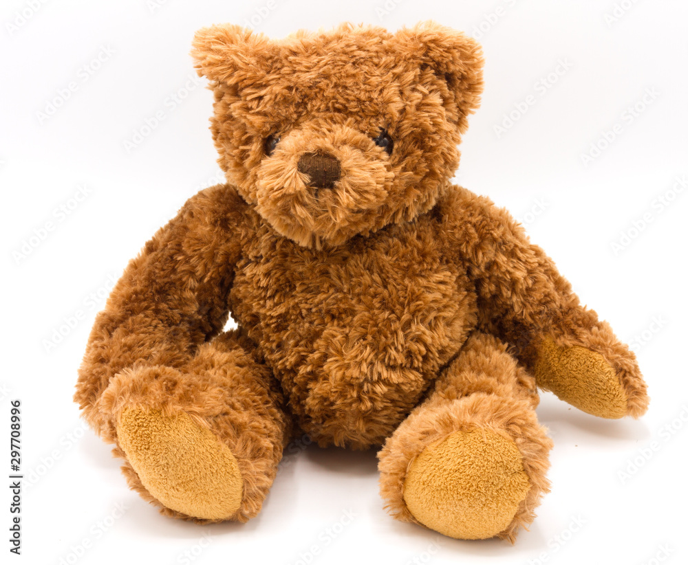 Obraz premium Teddy bear on a white background.