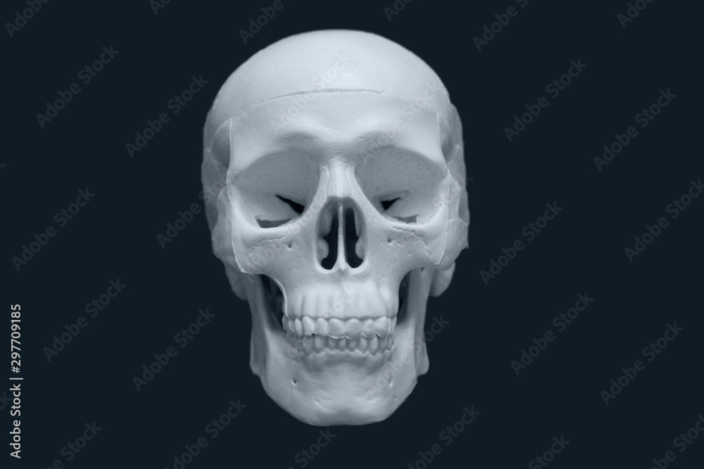 Bone white color small skull isolated on black background	