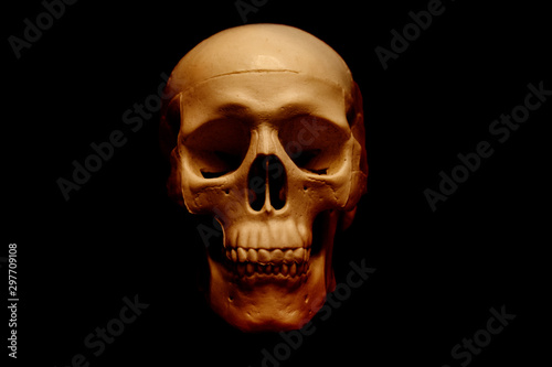 human skull isolated on black background