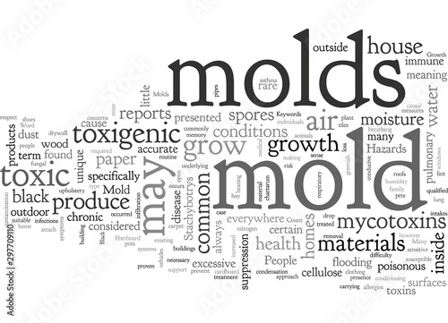 Are Black Molds Toxic
