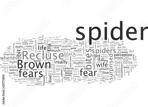Arachnophobia And Other Fears