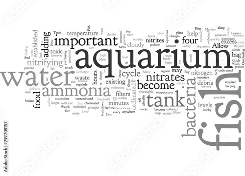 aquarium care guide