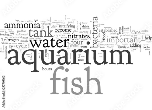 Aquarium Care Guide New Tanks