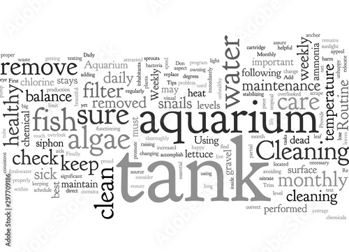 aquarium care
