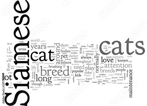 An In Depth Look At Siamese Cats