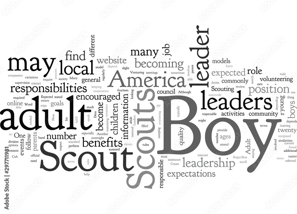 Adult Boy Scout Leaders What Is Expected Of Them