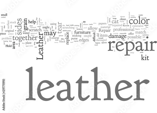 Advanced Leather Repair