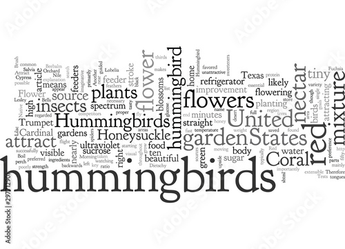 About Hummingbirds and How to Attract Them to Your Garden photo