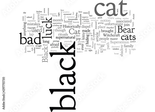 A Black Cat is Just a Cat